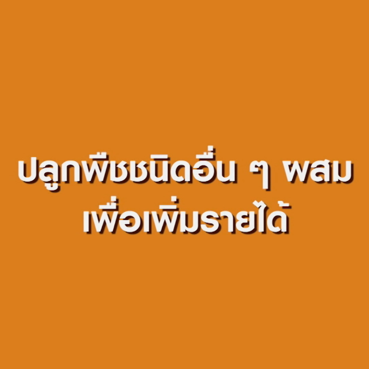 Have a news Day-1-640317-04