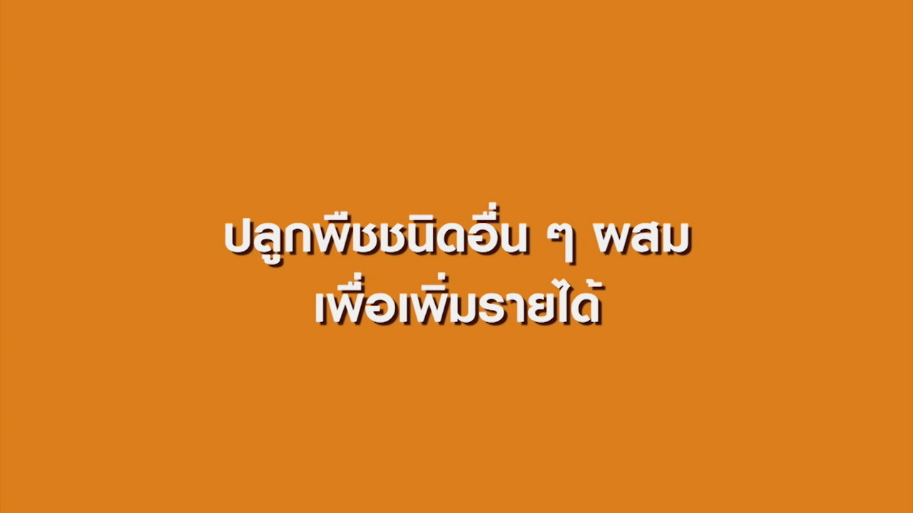 Have a news Day-1-640317-04