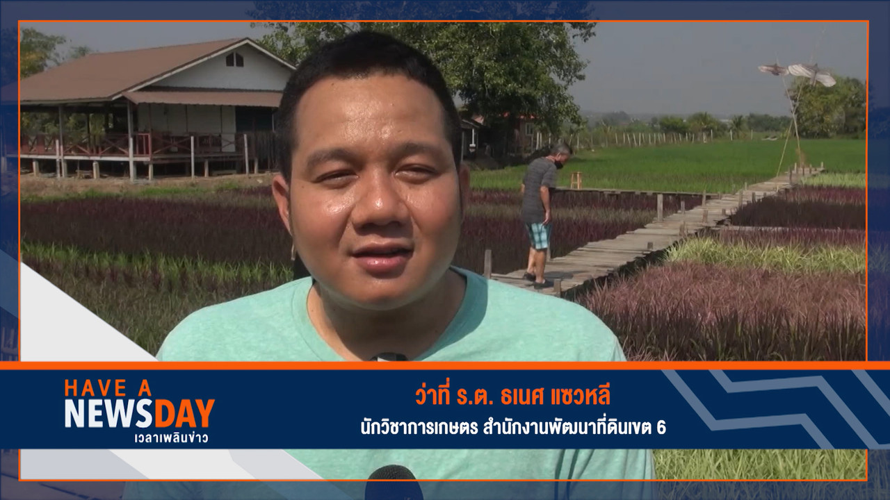 Have a news Day-1-640319-1