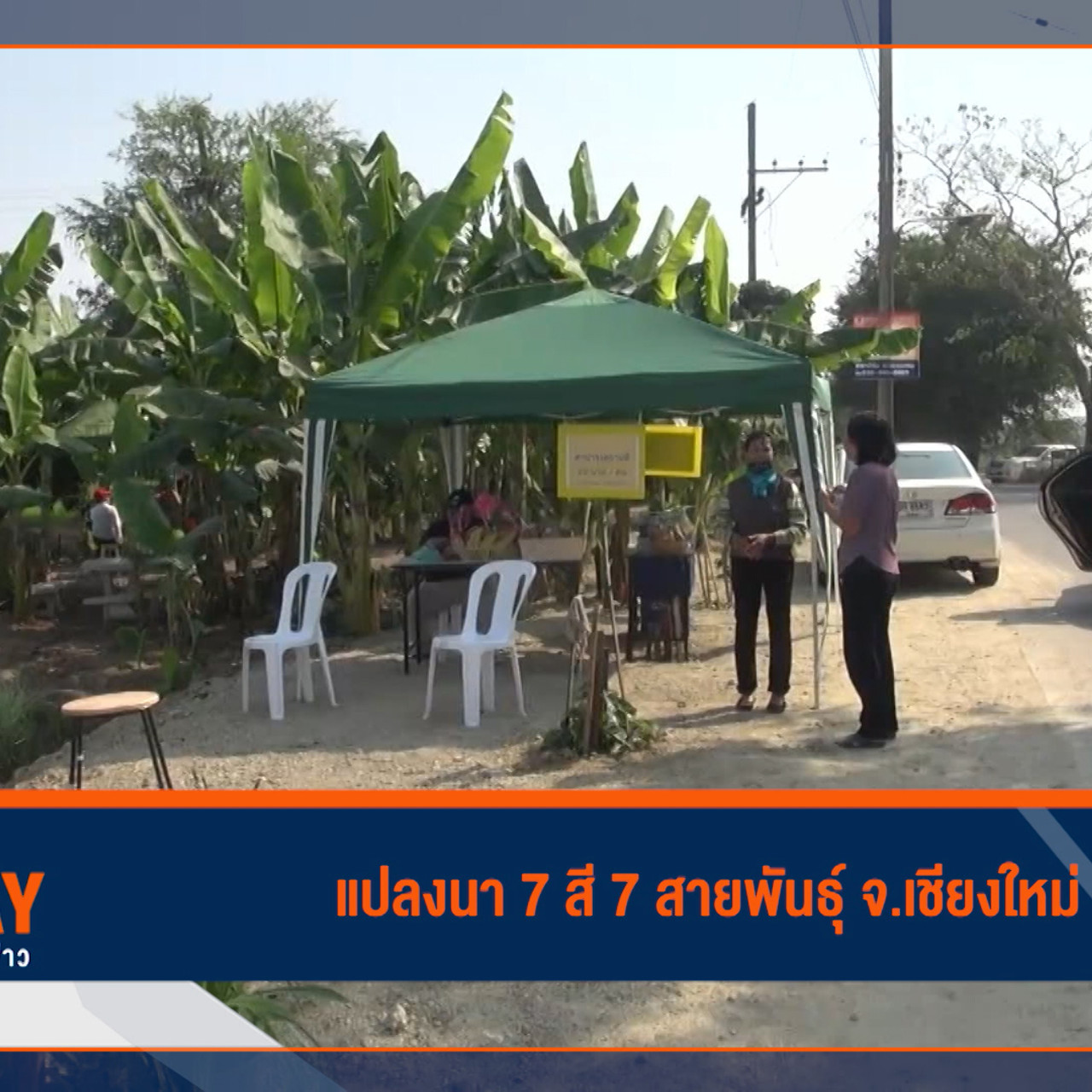 Have a news Day-3-640318-4