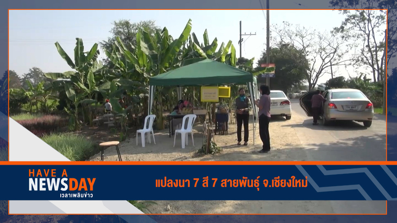 Have a news Day-3-640318-4