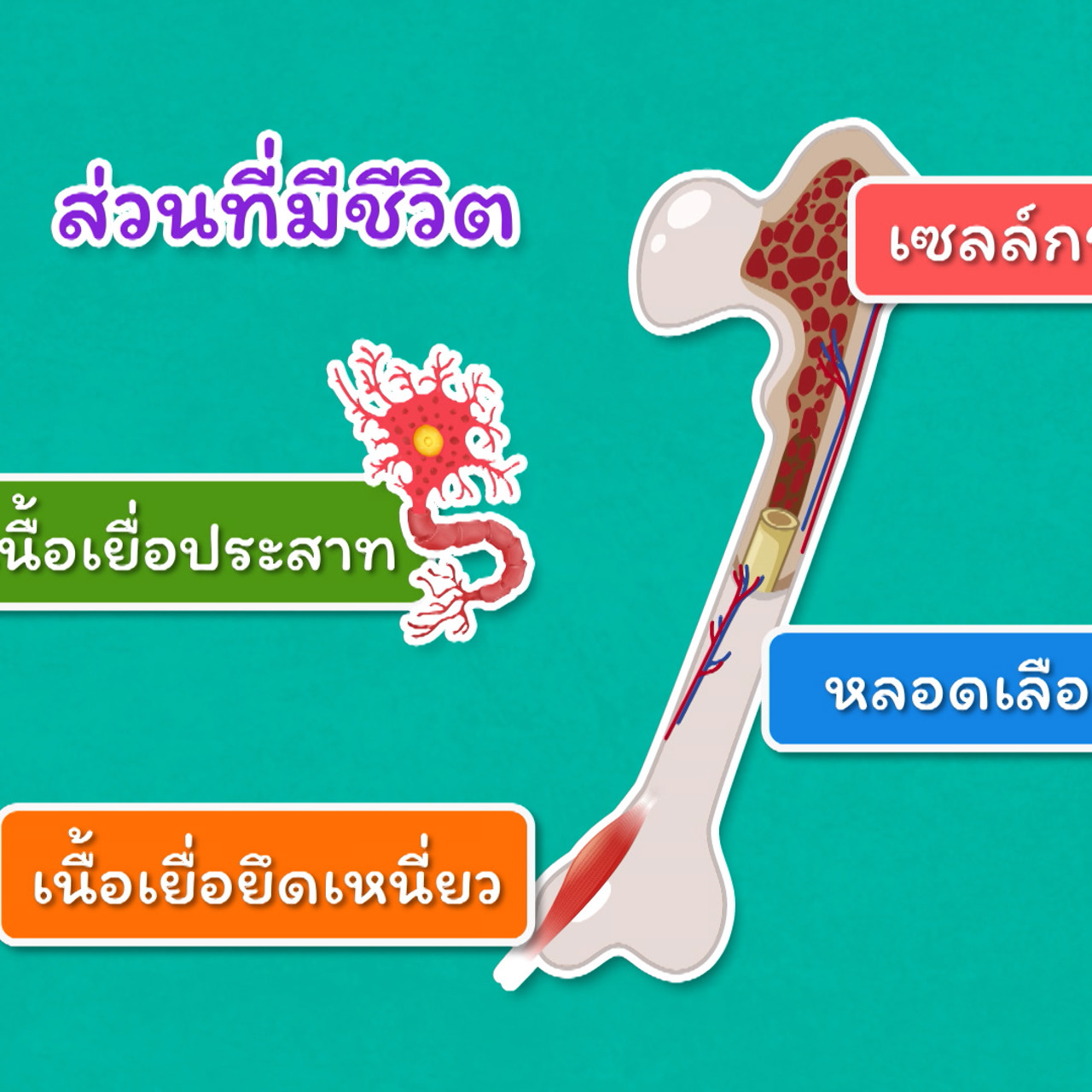 kidwit_640323-7