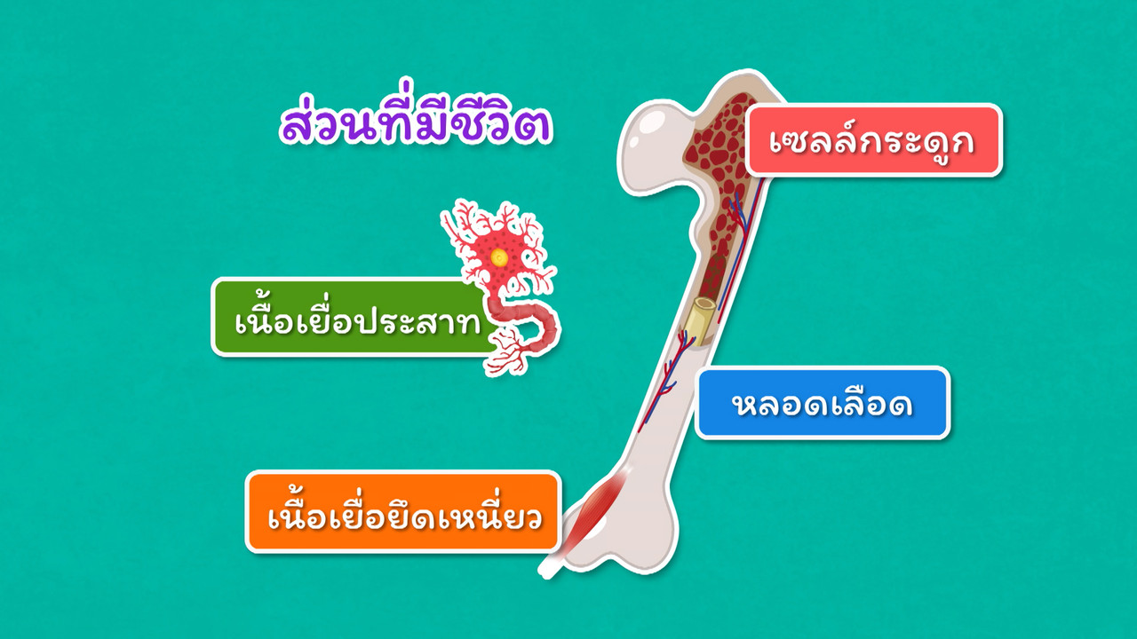 kidwit_640323-7