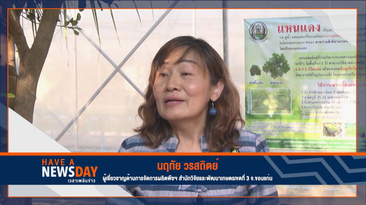 Have a news Day-1-640322-01