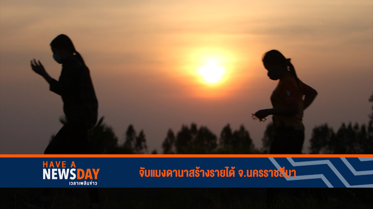 Have a news Day-3-640322-07