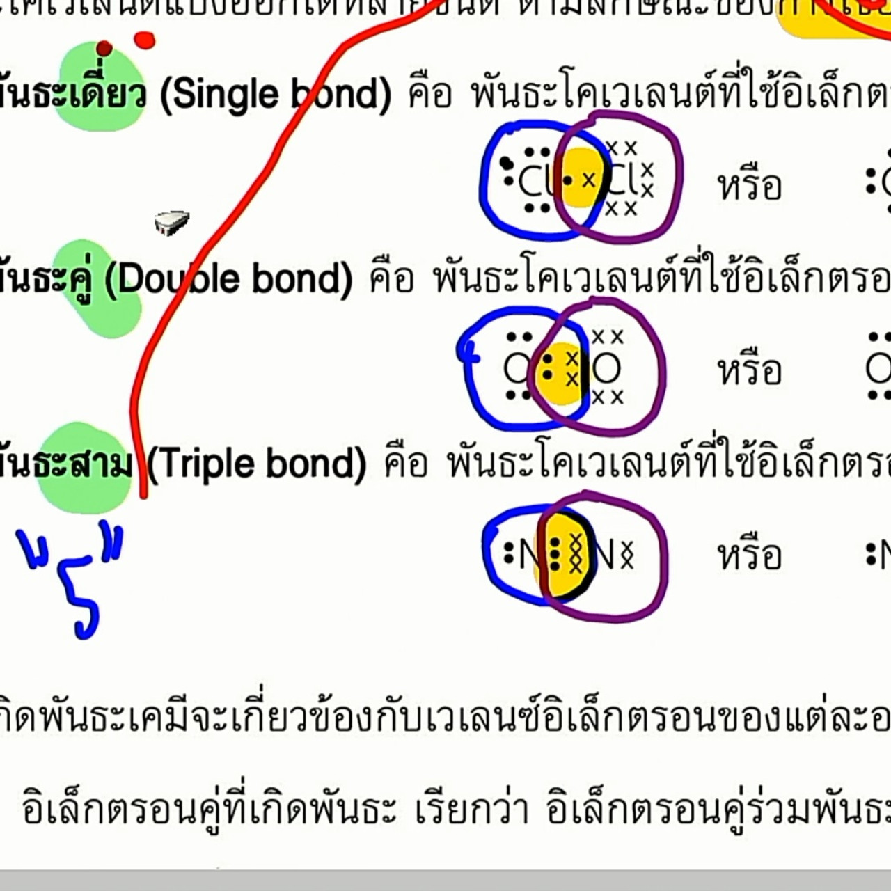 tutoru_640225 (8)