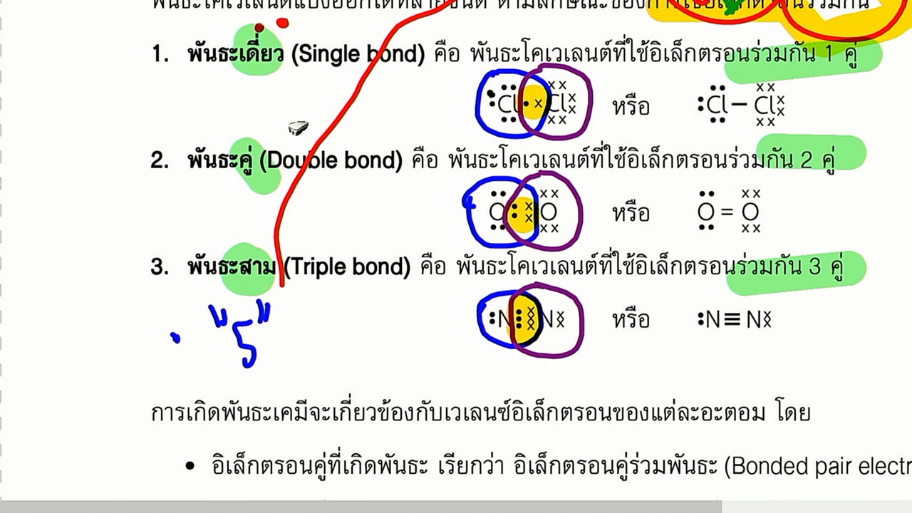 tutoru_640225 (8)