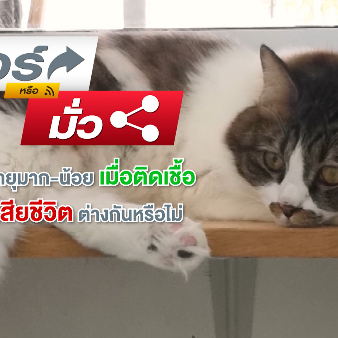 Have a news Day-2-640304-3