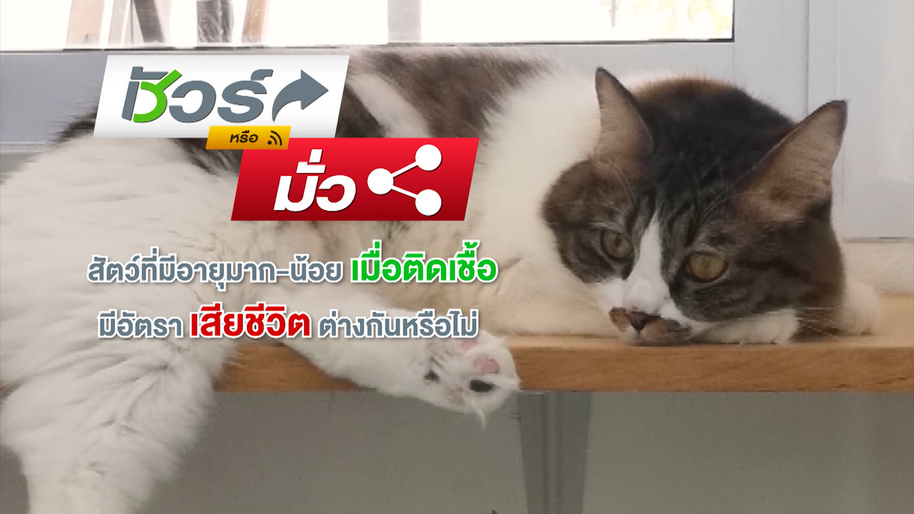 Have a news Day-2-640304-3