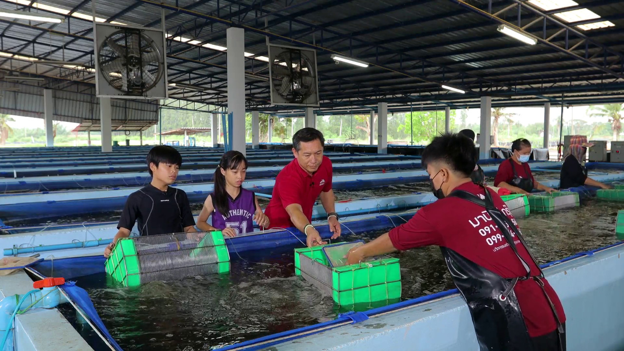 ActiveLearning-640420-1