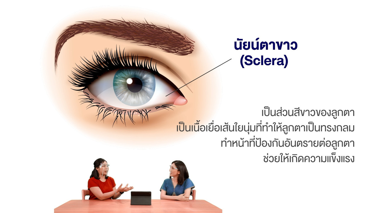 LabZaa640425-06