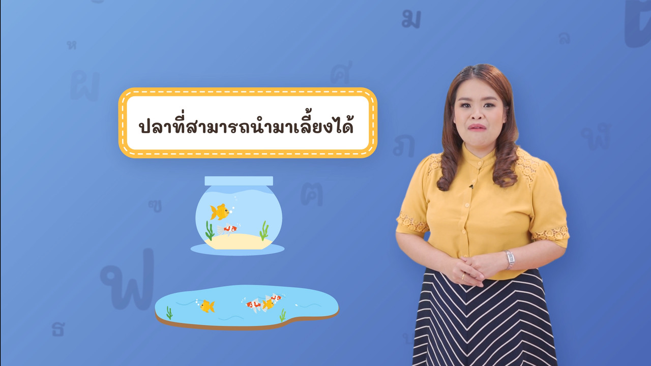 Thai-640404-4