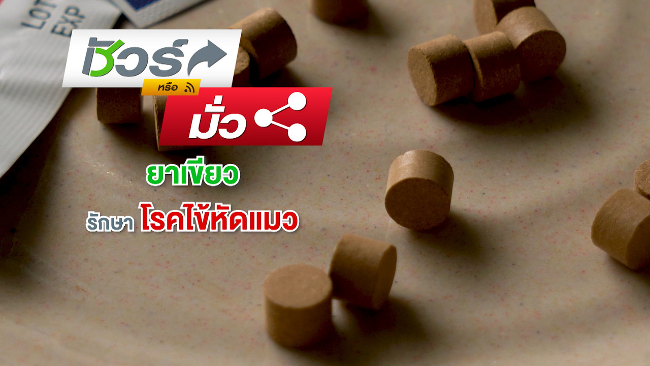 ็HaveANEWSDay-3-640406-12
