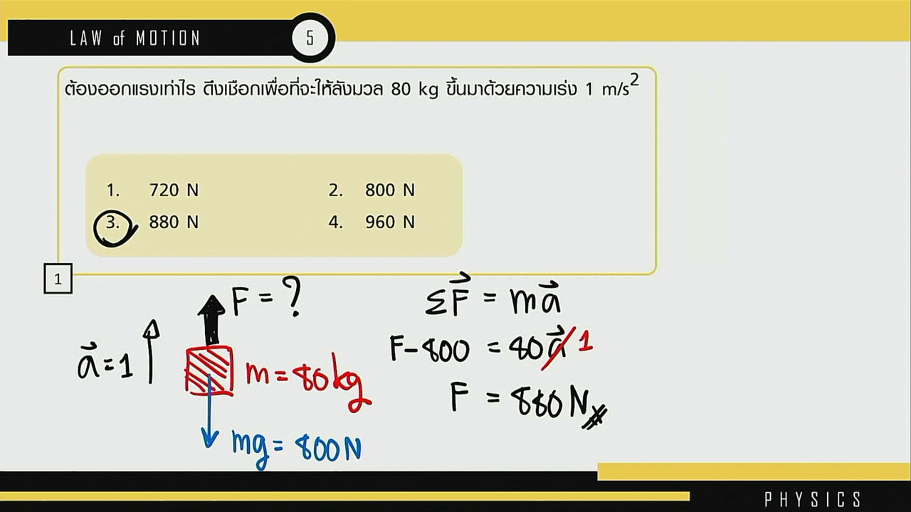 tutorU-640601-8