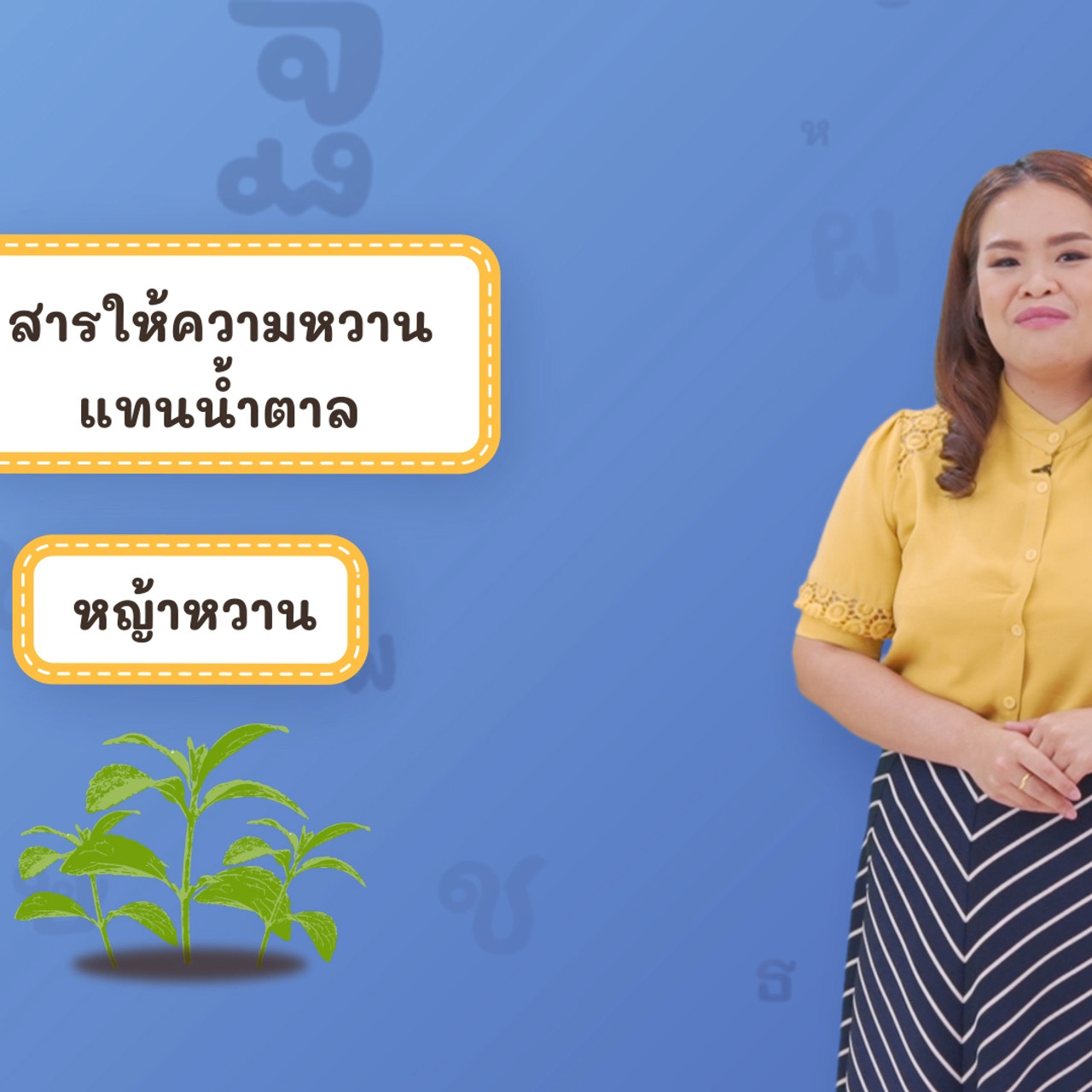 Thai-640612-4