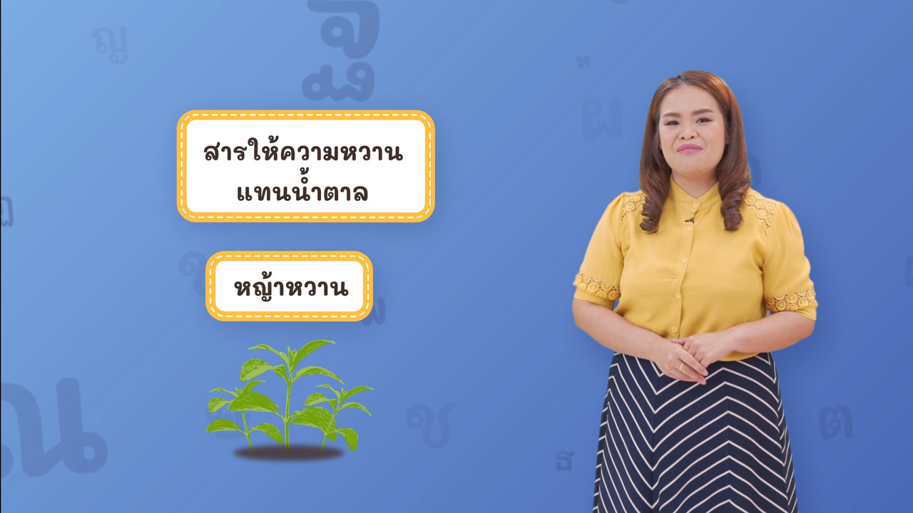 Thai-640612-4