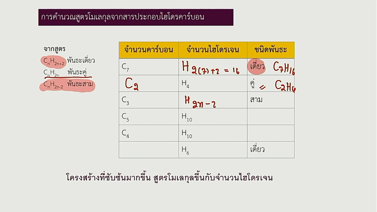 tutorU-640513-5