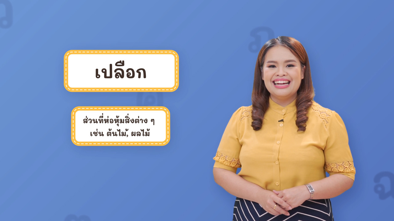 Thai-640515-5