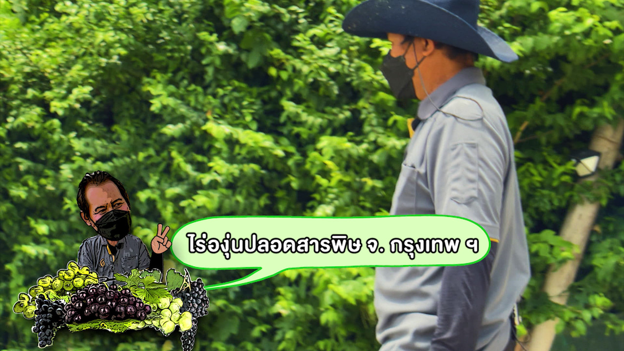 AgedVariety_640716 (1)