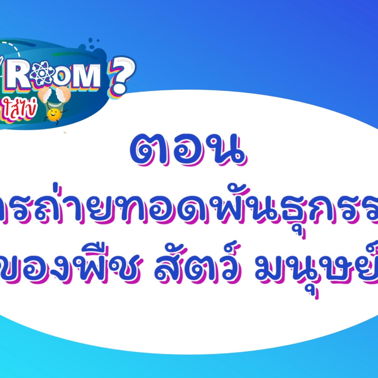 Why-Room-630711-1