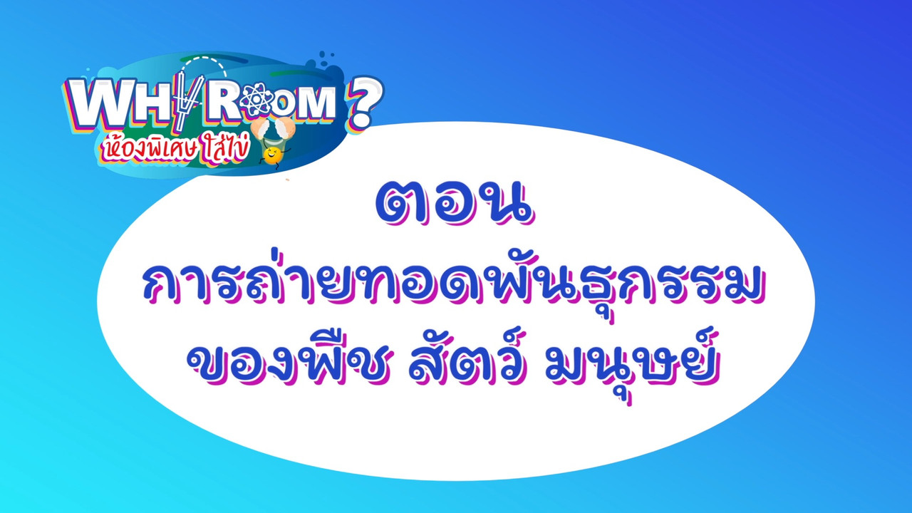 Why-Room-630711-1
