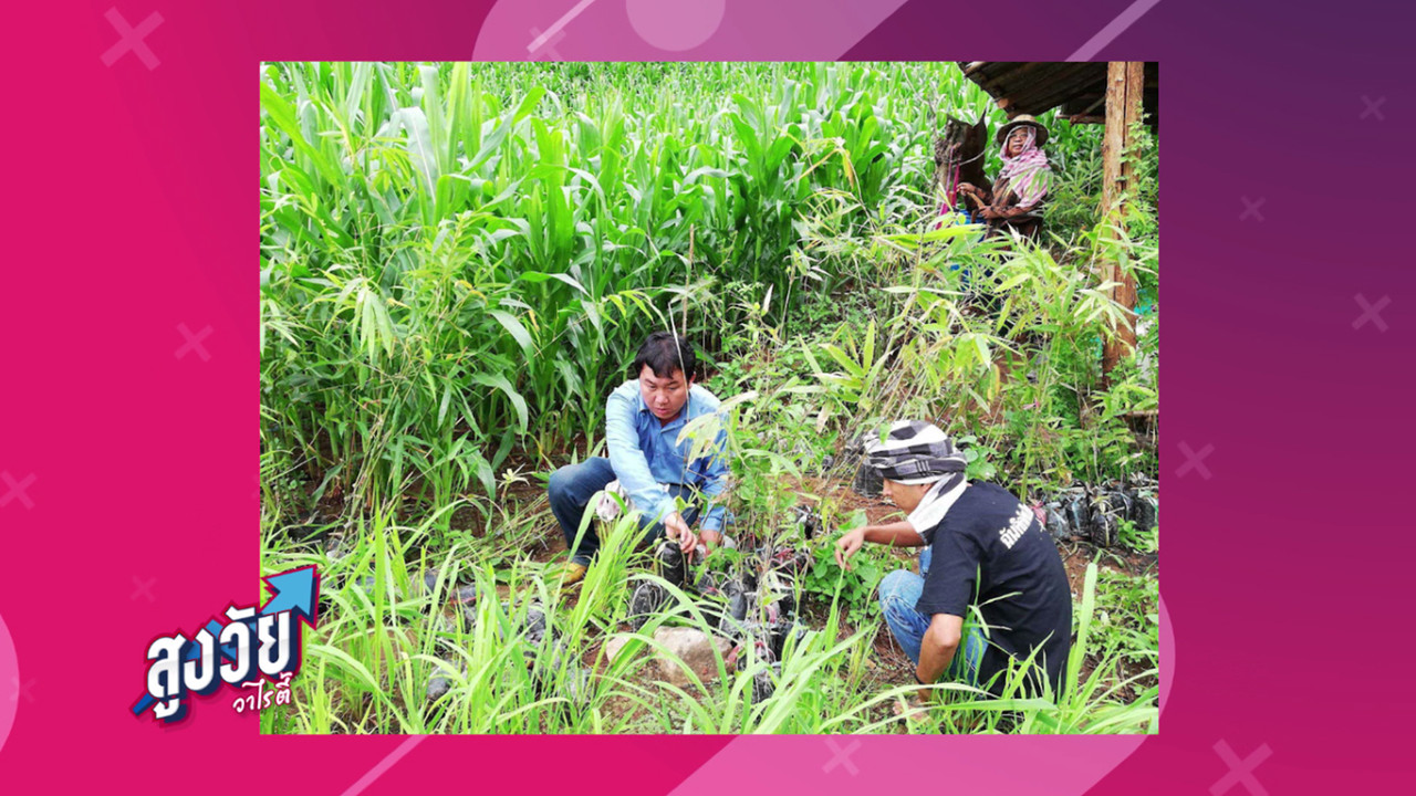 AgedVariety_640818--(5)