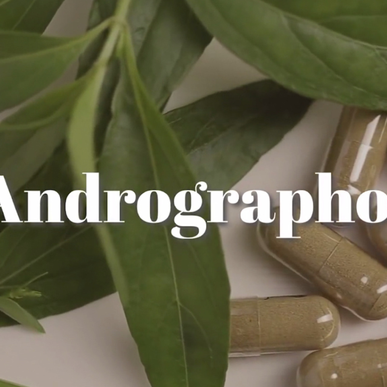 AgedVariety_640802--(1)