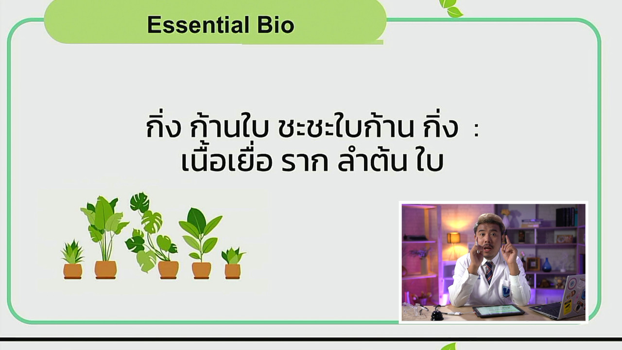 tutorU-640808-4