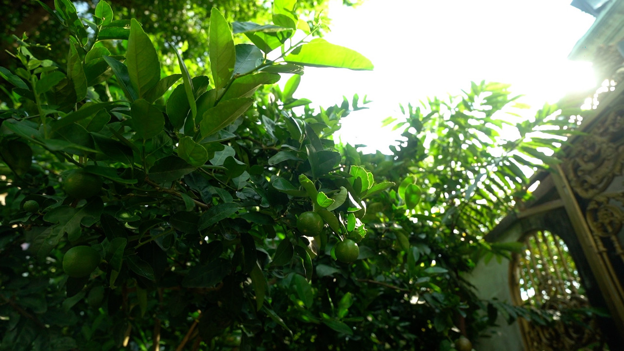 NanaChang640905-8