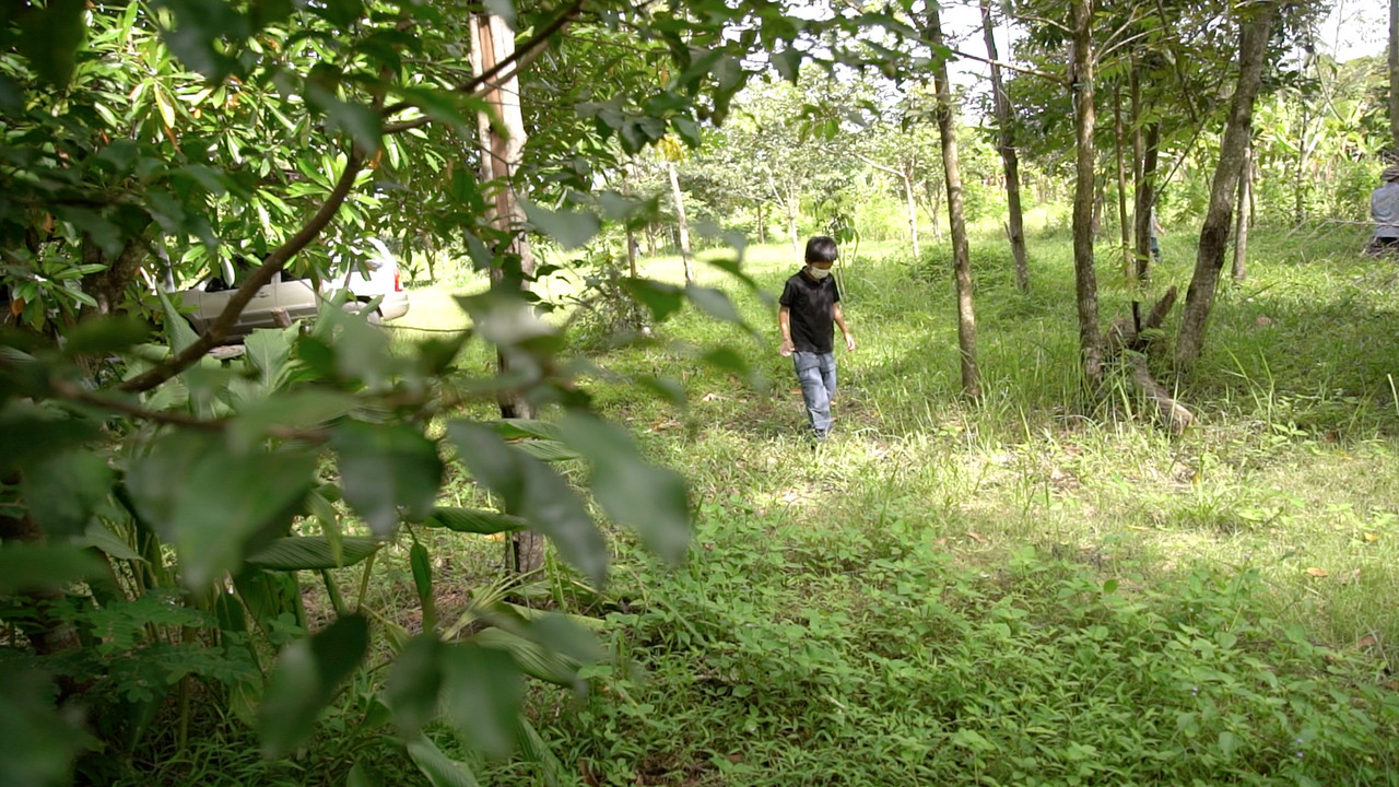 NaturalMashow-641007-6