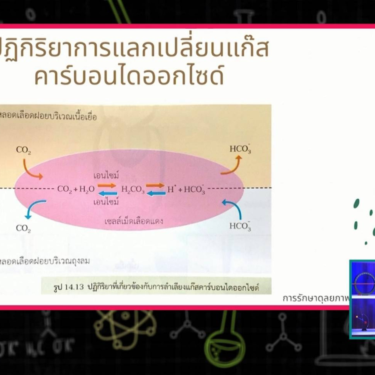 SecondaryTutors-640911-3