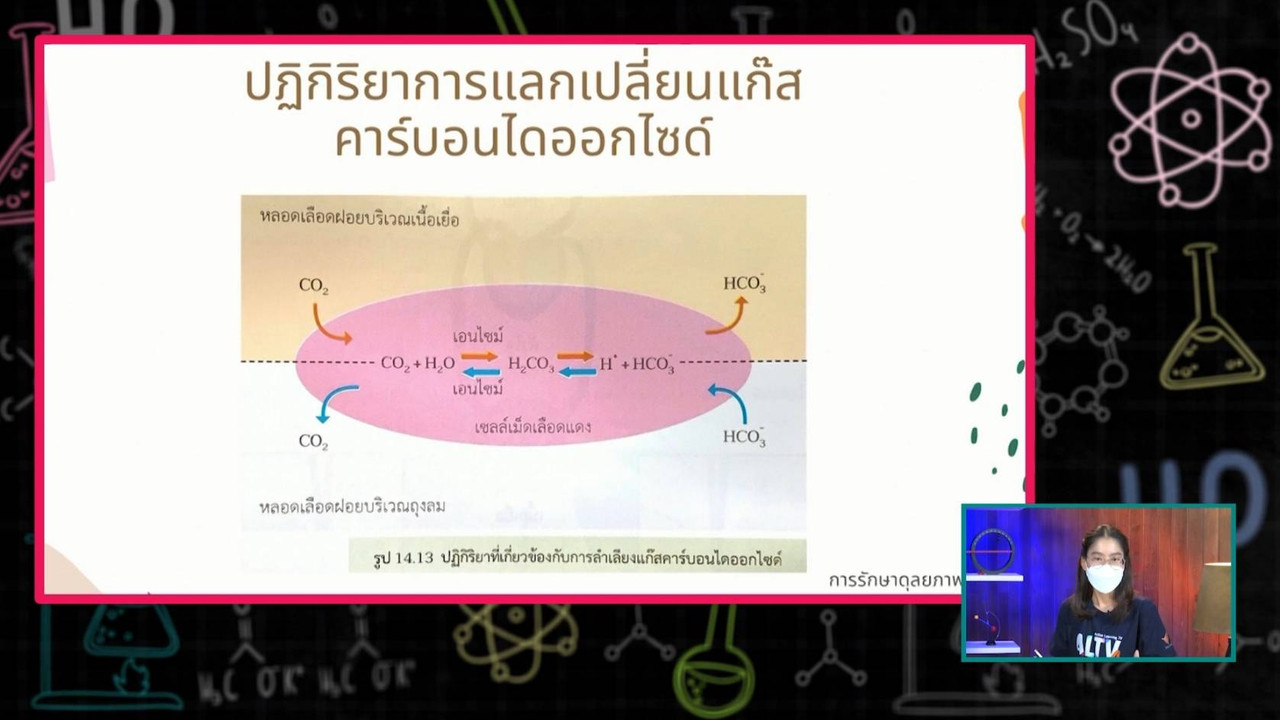 SecondaryTutors-640911-3