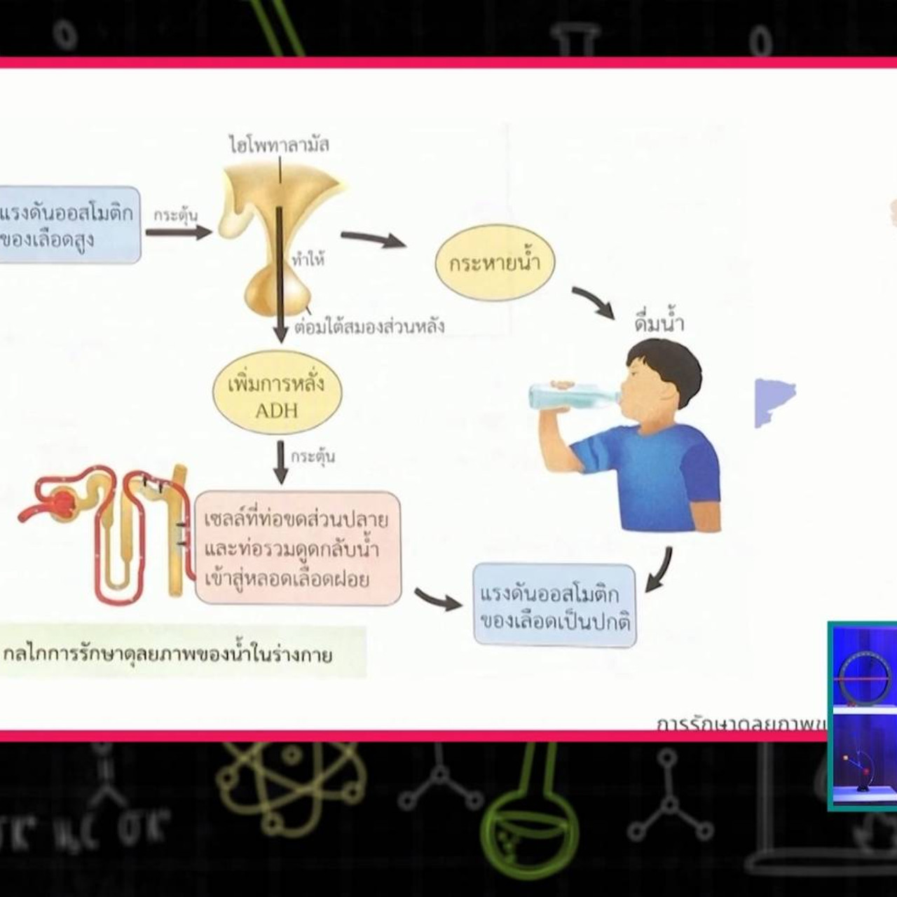 Altv ช่อง 4 วิทยาศาสตร์ การลำเลียงสารเข้าและออกจากเซลล์