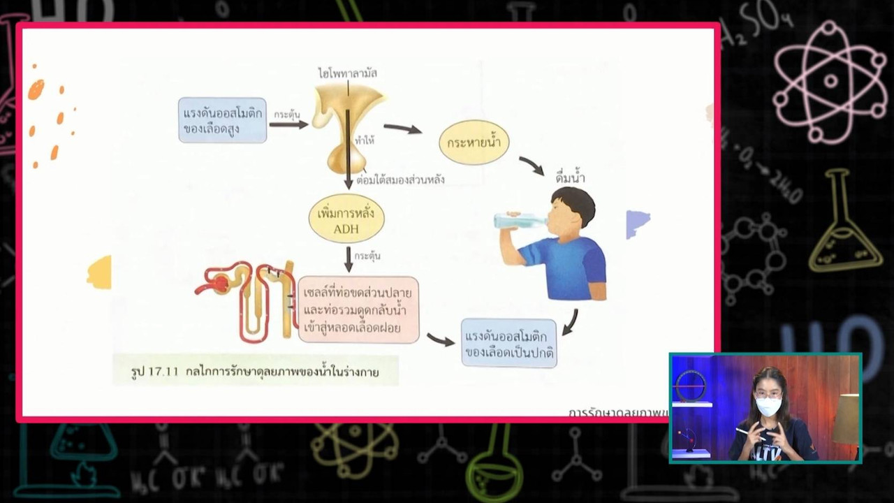 Altv ช่อง 4 วิทยาศาสตร์ การลำเลียงสารเข้าและออกจากเซลล์