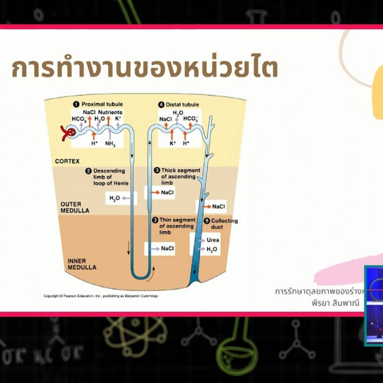 SecondaryTutors-640919-4