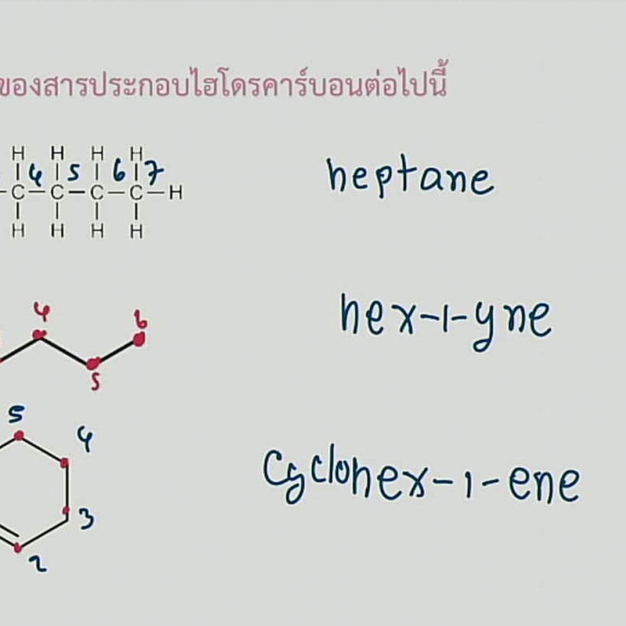 tutorU-640918-8