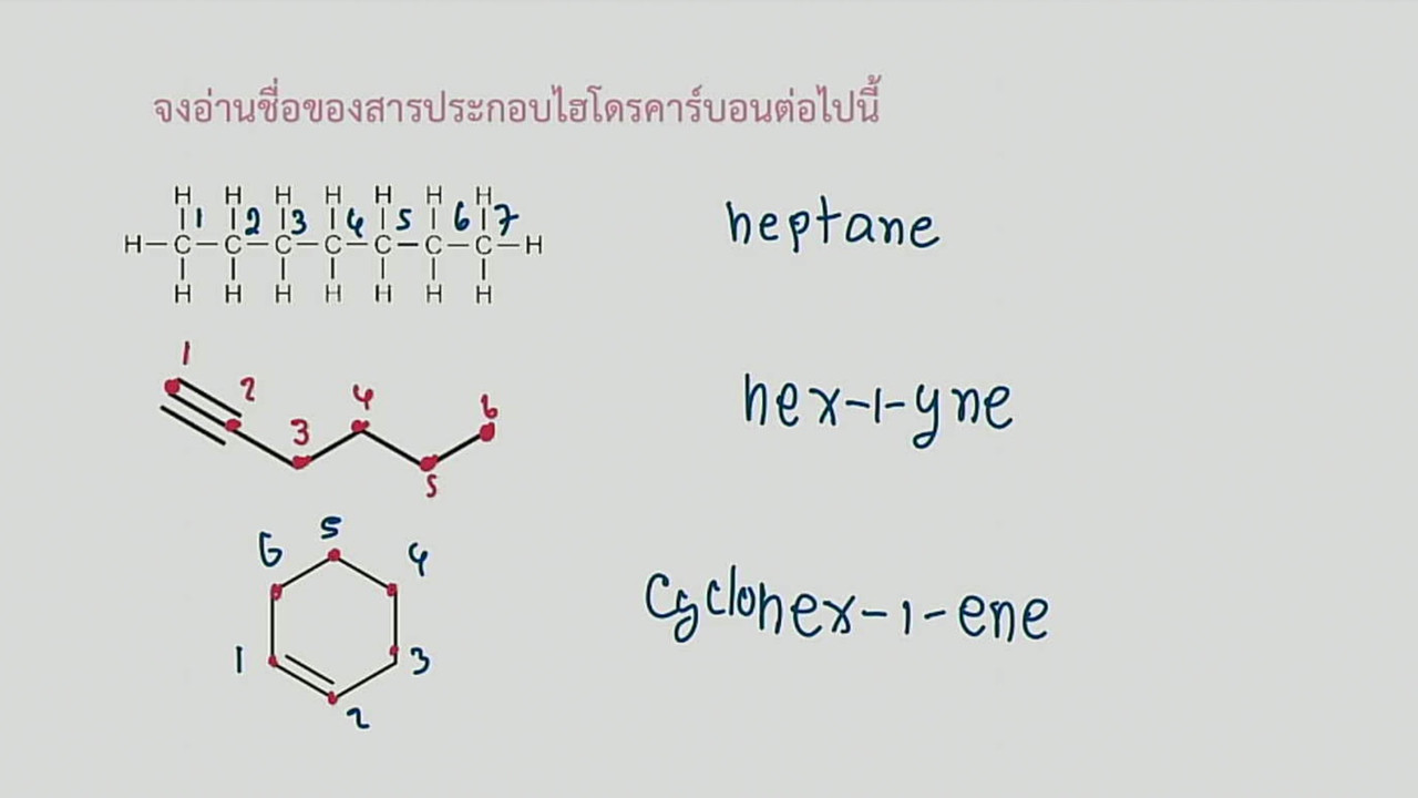 tutorU-640918-8