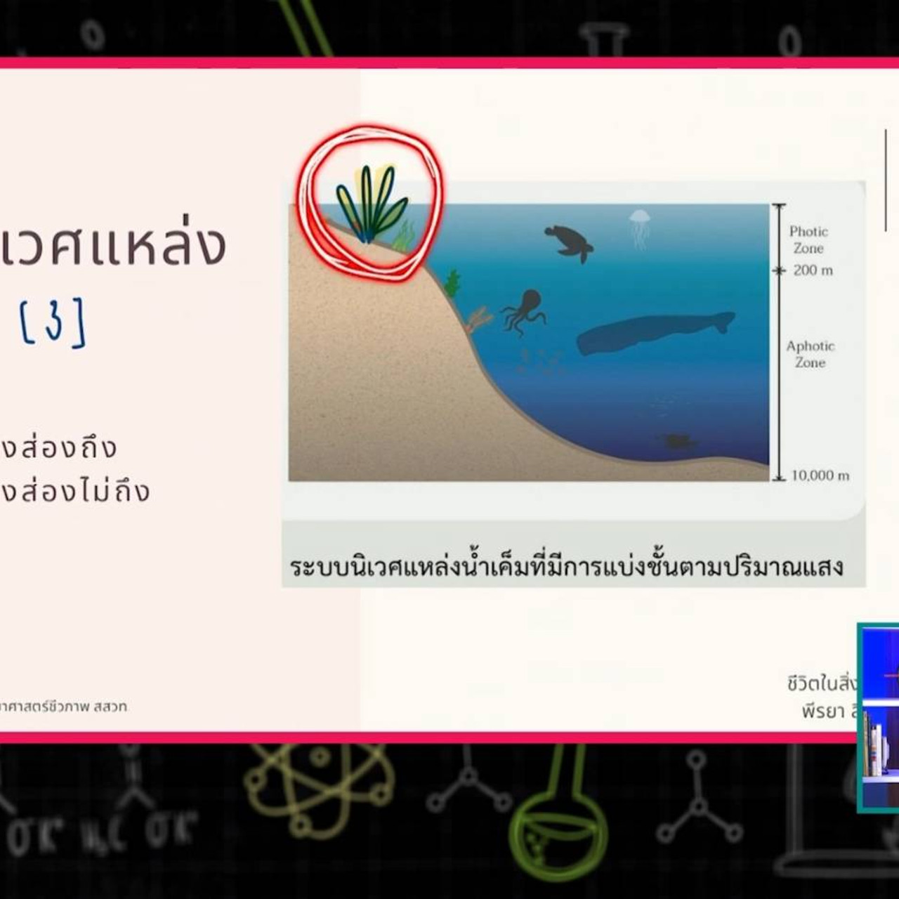 SecondaryTutors-641013-2