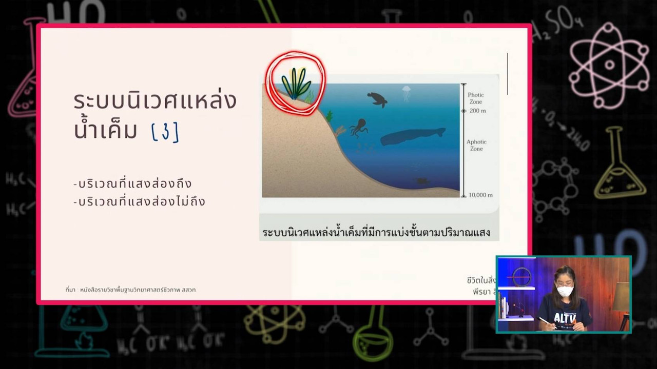 SecondaryTutors-641013-2