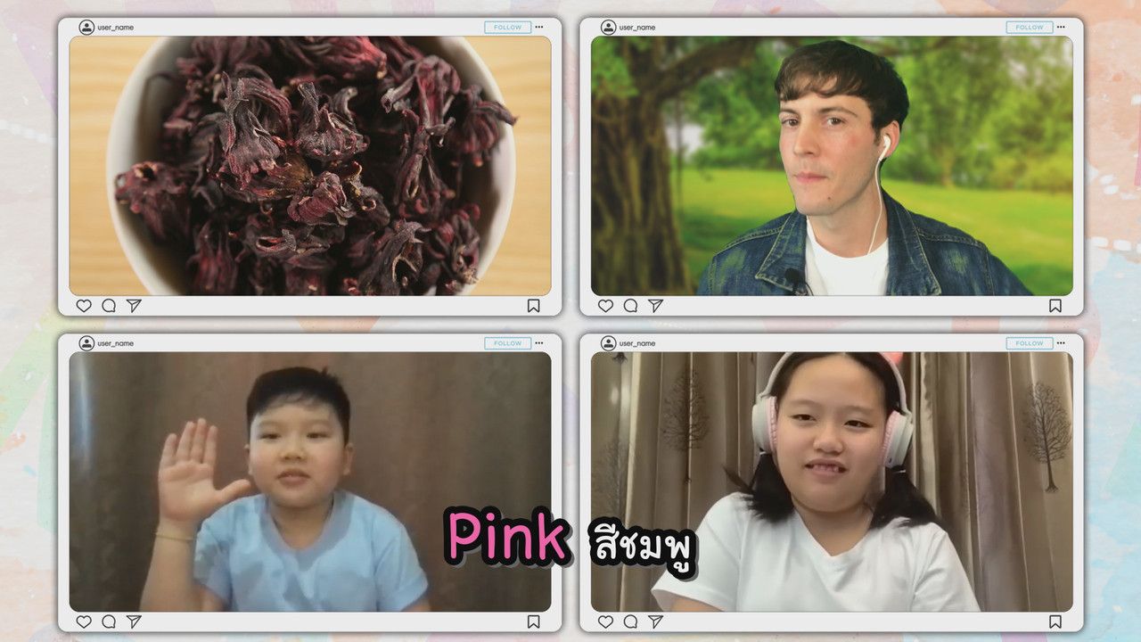 VocabJourney641013-17