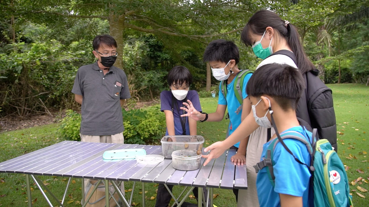 ์NaturalMashow-641014-5