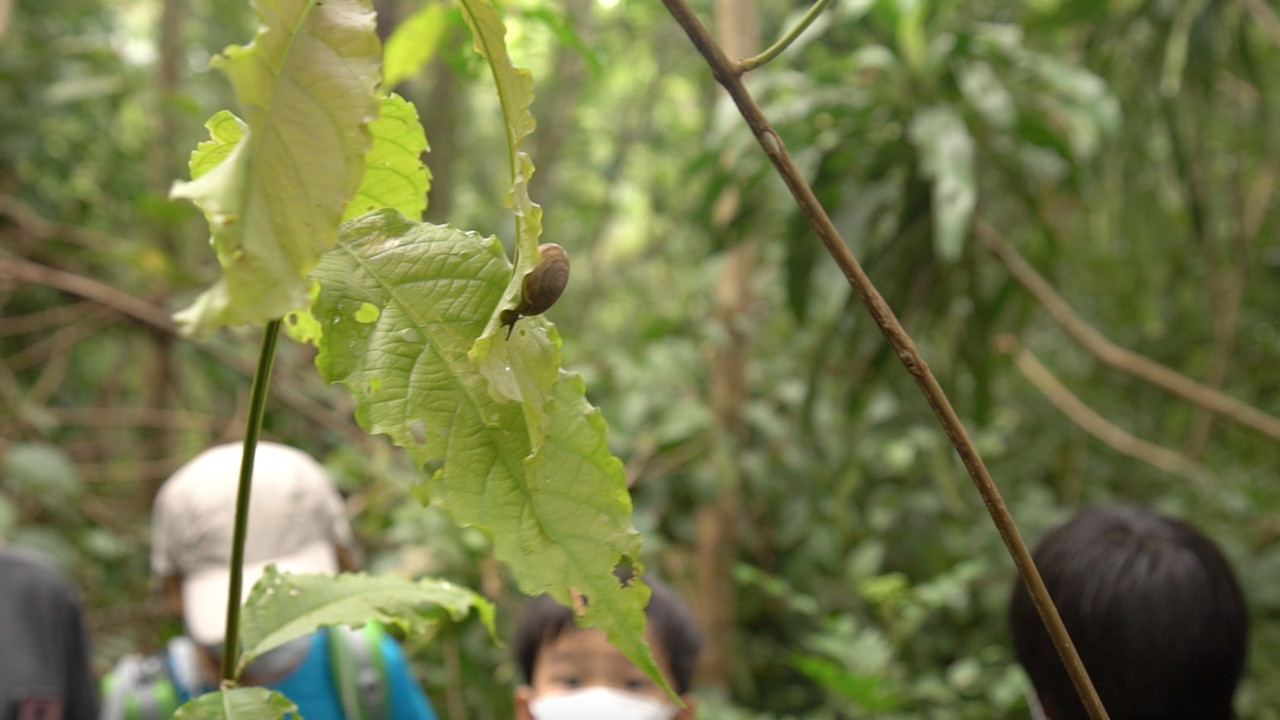 ์NaturalMashow-641014-8