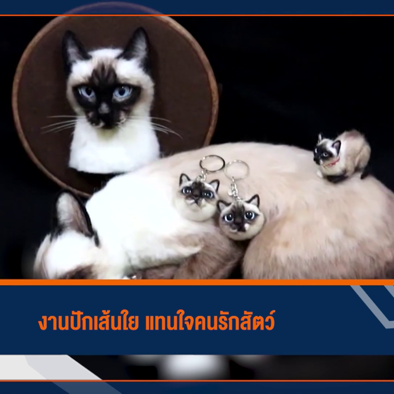 ็HaveANEWSDay-1-641014-2