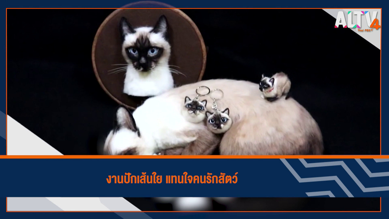 ็HaveANEWSDay-1-641014-2