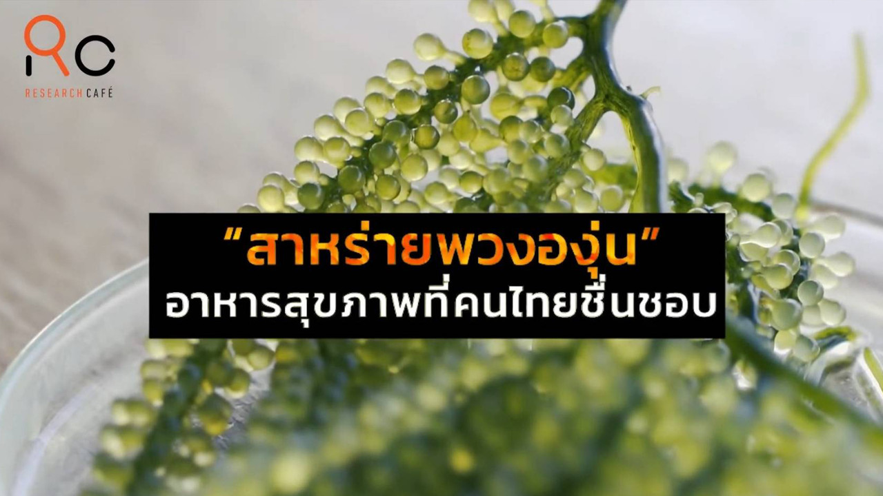 AgedVariety_6411028--(3)