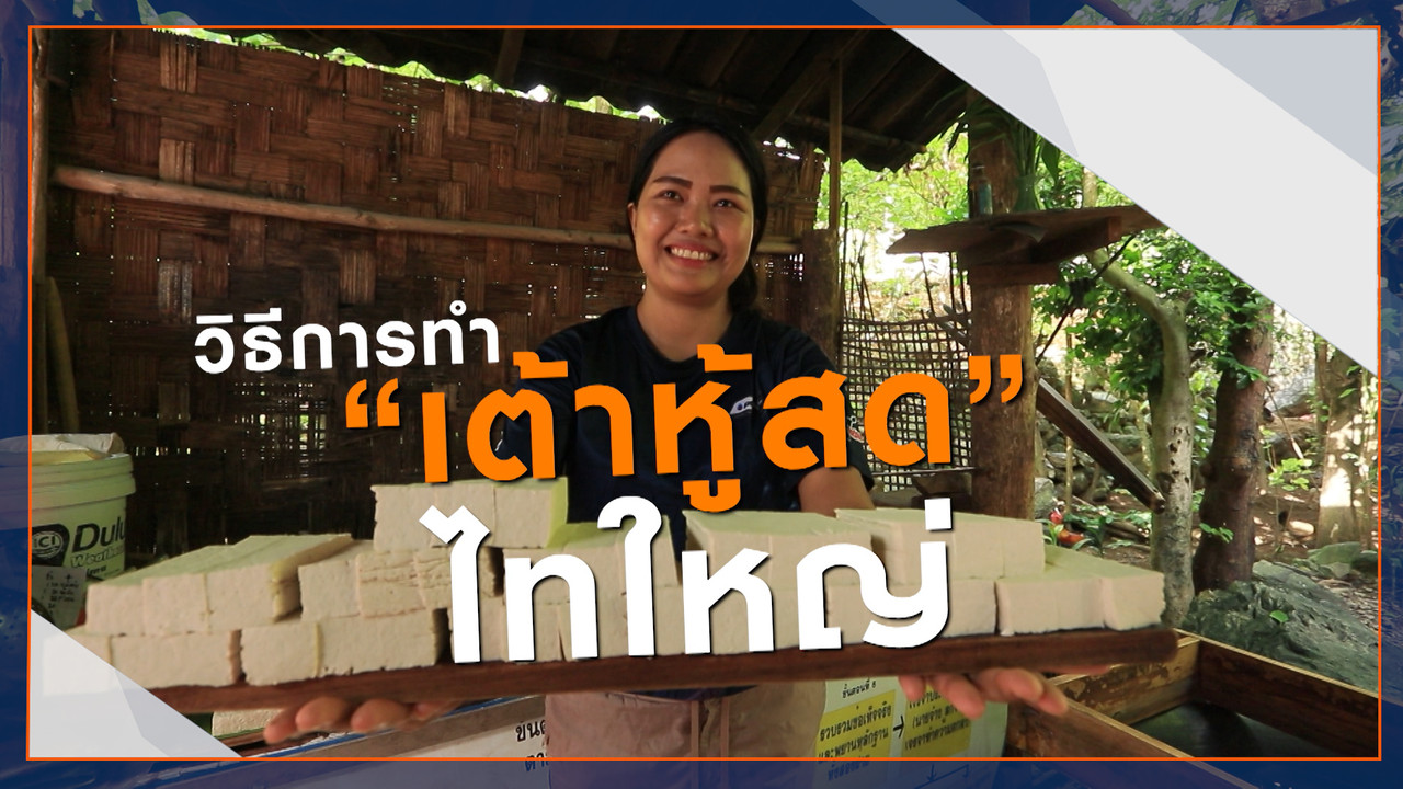 ็HaveANEWSDay-1-641029-11