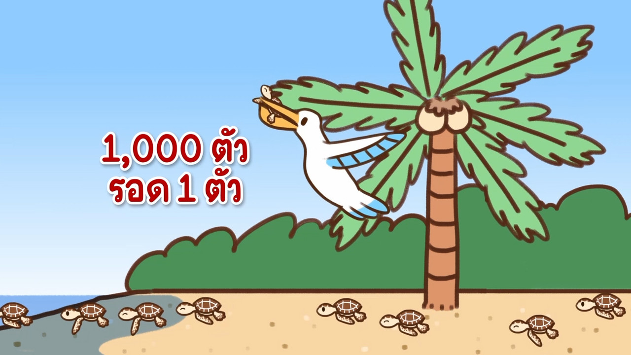 SanookCook-641029-10