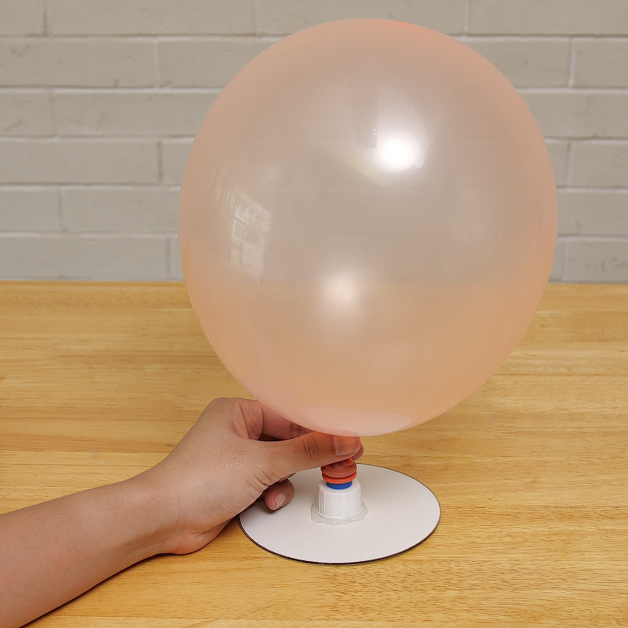 kidwit-641102-2