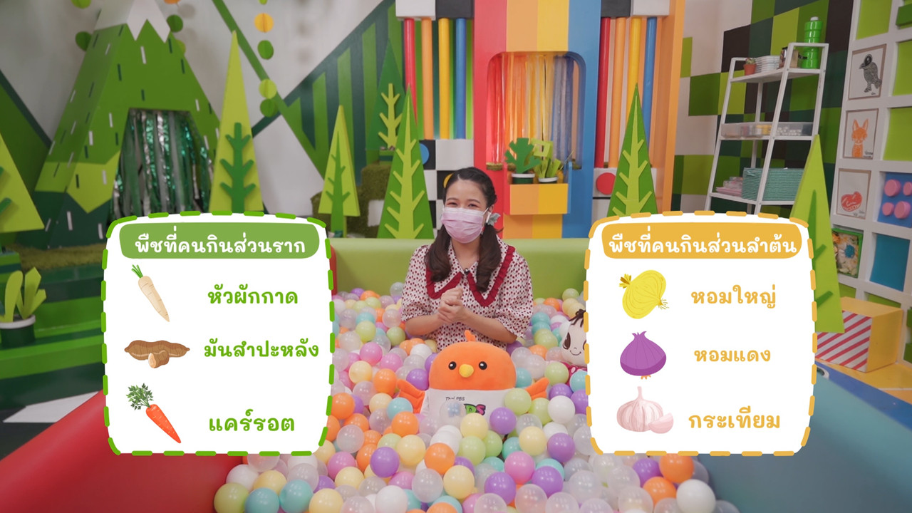 KidsSanook-641201-3