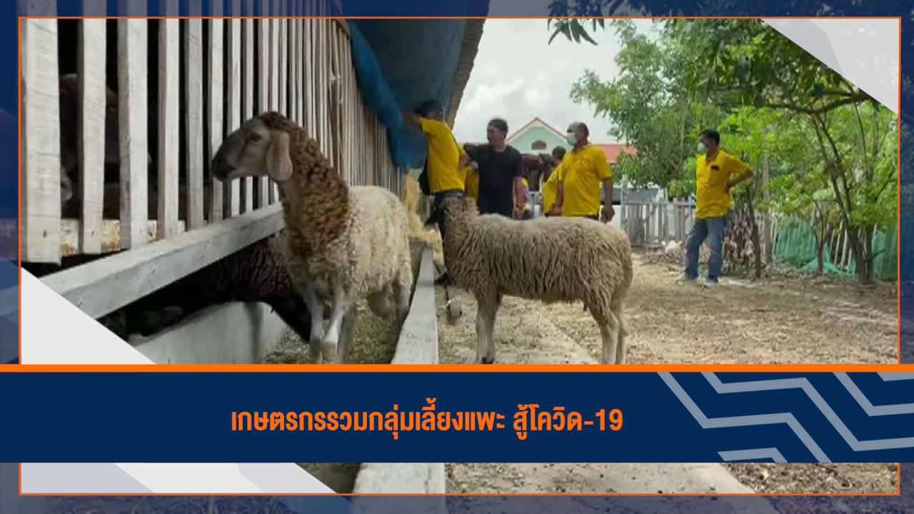 ็HaveANEWSDay-1-641218-12